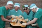 Pressefoto der Band:Hot Doc's