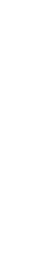Pressefoto: , 2009 © Ein fallendes Blatt schwingt.gif