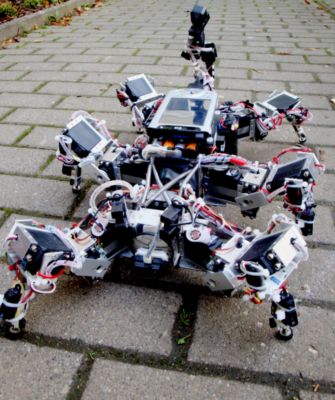 Pressefoto: , 2010 © Spaziergang des Robo-Käfers- Poramate Manoonpong und Marc Timme, Max Planck Institut fuer Dynamik.JPG