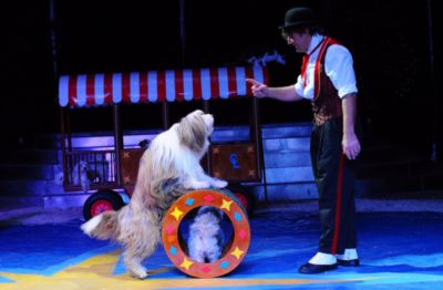 Foto vom Pressemelder: Foto vom Pressemelder , 2012 © La Forte präsentiert beim Zirkus Renz